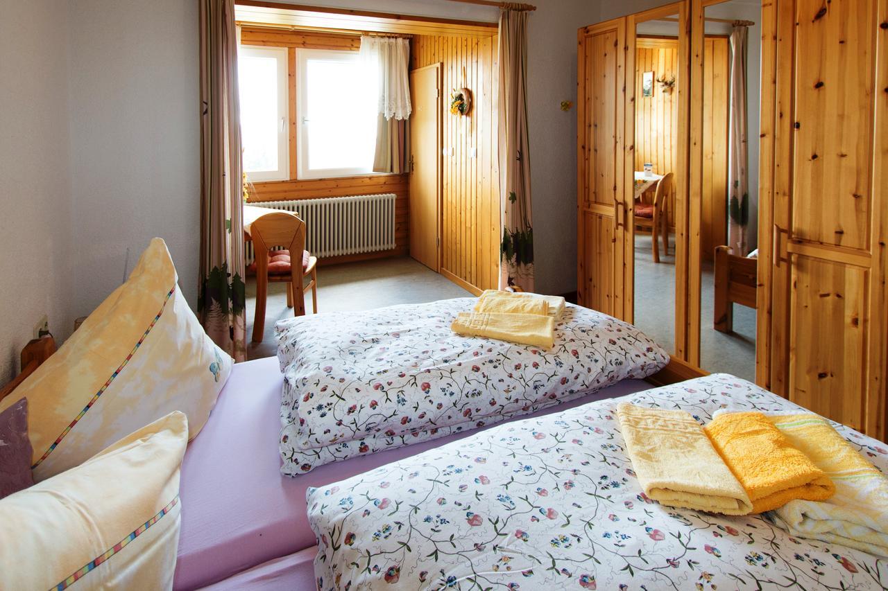 Berggasthof-Pension Todtnauer Hutte Feldberg  Dış mekan fotoğraf