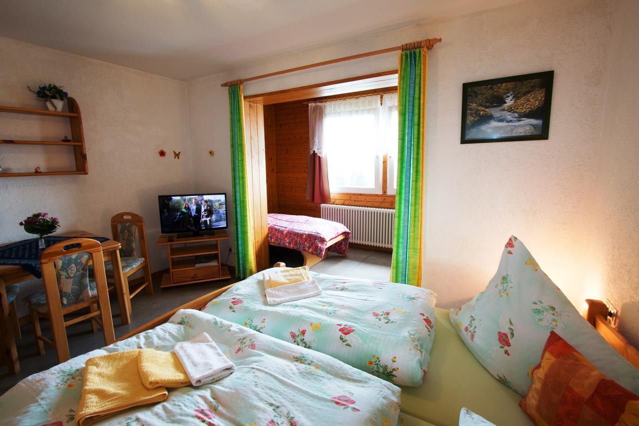 Berggasthof-Pension Todtnauer Hutte Feldberg  Oda fotoğraf