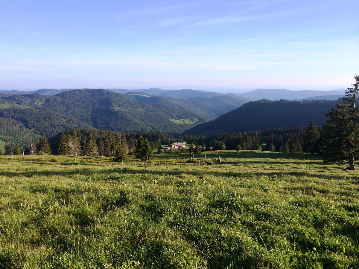 Berggasthof-Pension Todtnauer Hutte Feldberg  Dış mekan fotoğraf