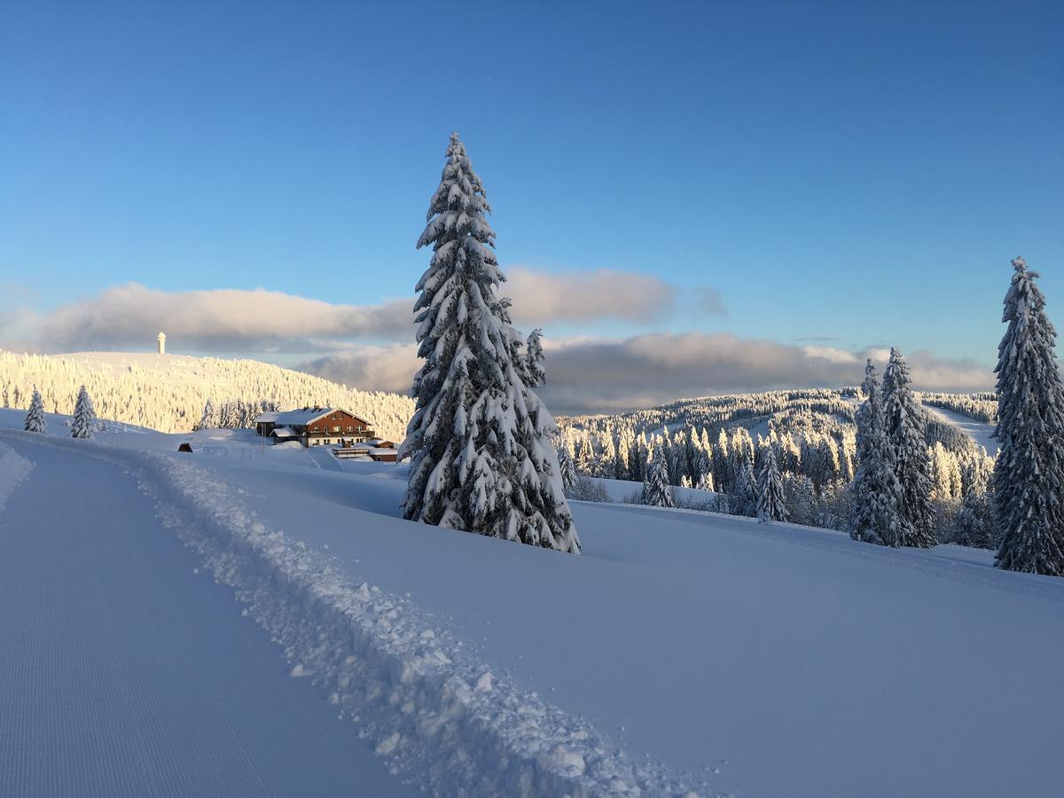 Berggasthof-Pension Todtnauer Hutte Feldberg  Dış mekan fotoğraf