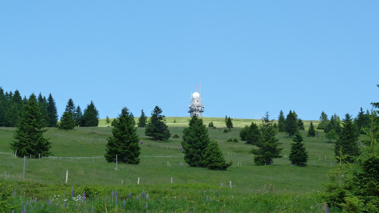 Berggasthof-Pension Todtnauer Hutte Feldberg  Dış mekan fotoğraf