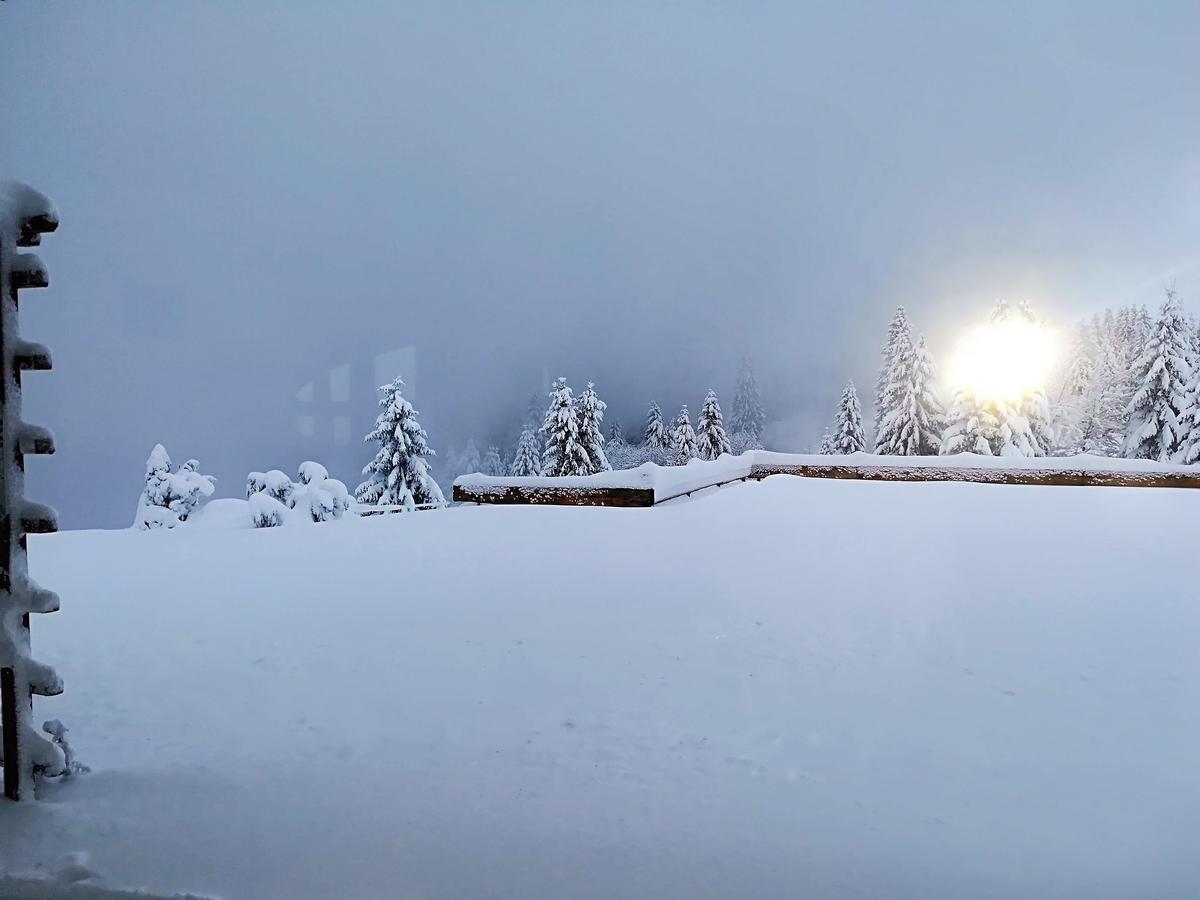 Berggasthof-Pension Todtnauer Hutte Feldberg  Dış mekan fotoğraf