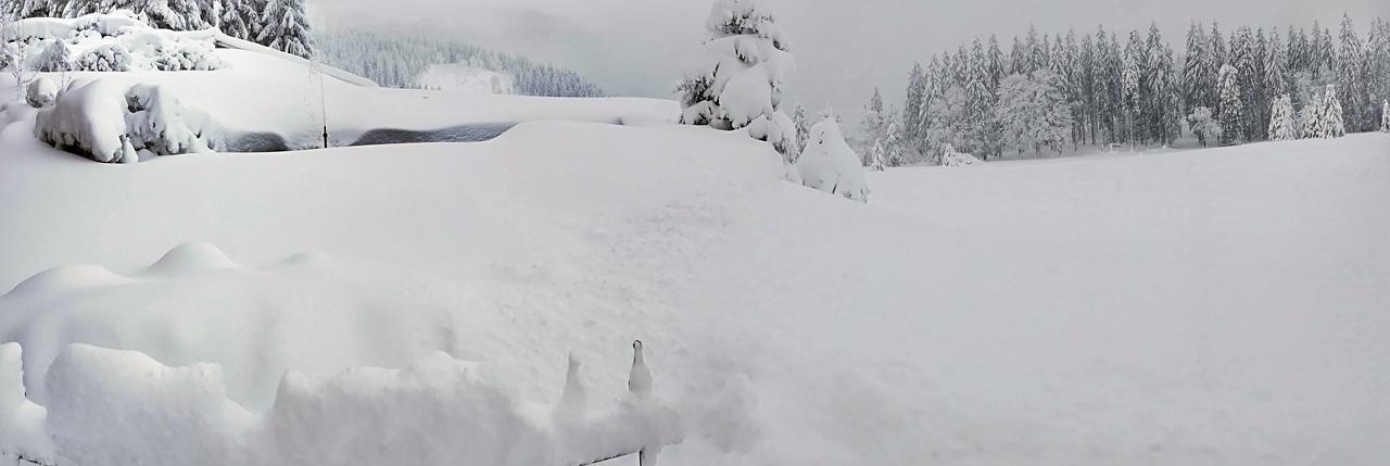 Berggasthof-Pension Todtnauer Hutte Feldberg  Dış mekan fotoğraf
