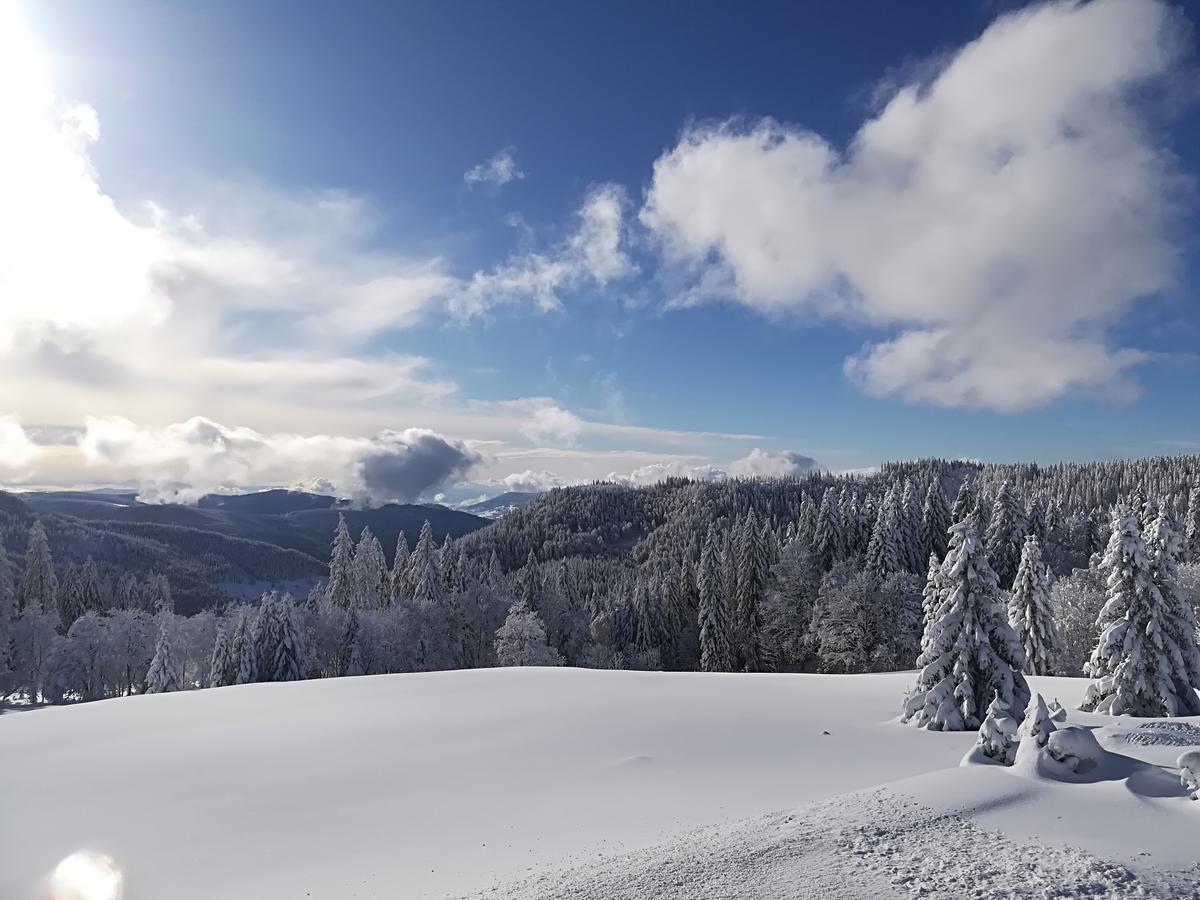 Berggasthof-Pension Todtnauer Hutte Feldberg  Dış mekan fotoğraf
